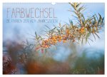 Farbwechsel - Die Farben der vier Jahreszeiten (Wandkalender 2026 DIN A3 quer), CALVENDO Monatskalender