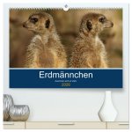 Erdmännchen - Zusammen sind wir stark (hochwertiger Premium Wandkalender 2026 DIN A2 quer), Kunstdruck in Hochglanz