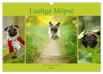 Lustige Möpse aus der Hundeknipserei (Wandkalender 2026 DIN A3 quer), CALVENDO Monatskalender