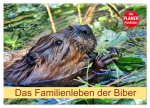 Das Familienleben der Biber (Wandkalender 2026 DIN A2 quer), CALVENDO Monatskalender