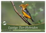Lustige Tier-Hybriden (Wandkalender 2026 DIN A4 quer), CALVENDO Monatskalender