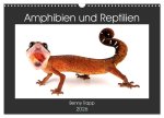 Amphibien und Reptilien (Wandkalender 2026 DIN A3 quer), CALVENDO Monatskalender