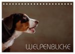 Welpenblicke (Tischkalender 2026 DIN A5 quer), CALVENDO Monatskalender