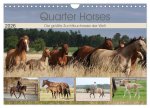 Quarter Horses - Die größte Zuchtbuchrasse der Welt (Wandkalender 2026 DIN A4 quer), CALVENDO Monatskalender