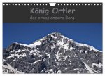 König Ortler - der etwas andere Berg (Wandkalender 2026 DIN A4 quer), CALVENDO Monatskalender