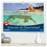 Schweine im Dauerurlaub auf den Bahamas! (hochwertiger Premium Wandkalender 2026 DIN A2 quer), Kunstdruck in Hochglanz