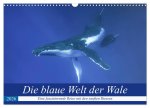 Die blaue Welt der Wale (Wandkalender 2026 DIN A3 quer), CALVENDO Monatskalender