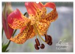 Lilien (Lilium) (Wandkalender 2026 DIN A3 quer), CALVENDO Monatskalender
