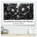 Die grafische Schönheit der Pflanzen - Schwarz-Weiß (hochwertiger Premium Wandkalender 2026 DIN A2 quer), Kunstdruck in Hochglanz