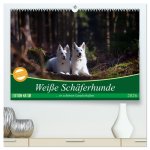 Weiße Schäferhunde in schönen Landschaften (hochwertiger Premium Wandkalender 2026 DIN A2 quer), Kunstdruck in Hochglanz