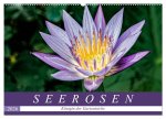 Seerosen - Königin der Gartenteiche (Wandkalender 2026 DIN A2 quer), CALVENDO Monatskalender