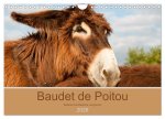 Baudet de Poitou - Seltene französische Langohren (Wandkalender 2026 DIN A4 quer), CALVENDO Monatskalender