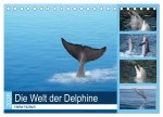 Die Welt der Delphine (Tischkalender 2026 DIN A5 quer), CALVENDO Monatskalender