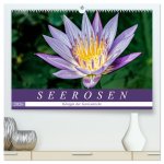 Seerosen - Königin der Gartenteiche (hochwertiger Premium Wandkalender 2026 DIN A2 quer), Kunstdruck in Hochglanz