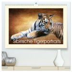Sibirische Tigerportraits (hochwertiger Premium Wandkalender 2026 DIN A2 quer), Kunstdruck in Hochglanz