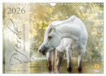 Pferde - Anmut, Eleganz, Magie (Wandkalender 2026 DIN A4 quer), CALVENDO Monatskalender