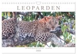 Leoparden - Geheimnisvolle Jäger (Wandkalender 2026 DIN A4 quer), CALVENDO Monatskalender