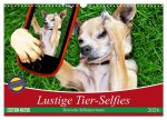 Lustige Tier-Selfies. Tierische Selbstportraits (Wandkalender 2026 DIN A3 quer), CALVENDO Monatskalender