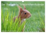 Der literarische Eichhörnchen-Kalender (Wandkalender 2026 DIN A3 quer), CALVENDO Monatskalender