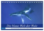 Die blaue Welt der Wale (Tischkalender 2026 DIN A5 quer), CALVENDO Monatskalender