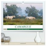 Camargue - Der wilde Süden Frankreichs (hochwertiger Premium Wandkalender 2026 DIN A2 quer), Kunstdruck in Hochglanz
