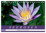 Seerosen - Königin der Gartenteiche (Tischkalender 2026 DIN A5 quer), CALVENDO Monatskalender
