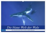 Die blaue Welt der Wale (Wandkalender 2026 DIN A2 quer), CALVENDO Monatskalender