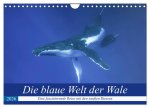 Die blaue Welt der Wale (Wandkalender 2026 DIN A4 quer), CALVENDO Monatskalender