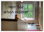 Herr Bär urban explorer (Wandkalender 2026 DIN A3 quer), CALVENDO Monatskalender
