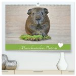 Meerschweinchen Portraits (hochwertiger Premium Wandkalender 2026 DIN A2 quer), Kunstdruck in Hochglanz