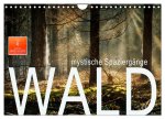 Wald - mystische Spaziergänge (Wandkalender 2026 DIN A4 quer), CALVENDO Monatskalender