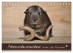 Meerschweinchen - Kleine süße Fellnasen (Tischkalender 2026 DIN A5 quer), CALVENDO Monatskalender