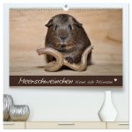 Meerschweinchen - Kleine süße Fellnasen (hochwertiger Premium Wandkalender 2026 DIN A2 quer), Kunstdruck in Hochglanz