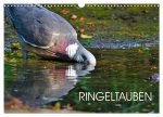 Ringeltauben (Wandkalender 2026 DIN A3 quer), CALVENDO Monatskalender