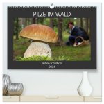 PILZE IM WALD (hochwertiger Premium Wandkalender 2026 DIN A2 quer), Kunstdruck in Hochglanz