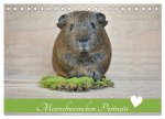 Meerschweinchen Portraits (Tischkalender 2026 DIN A5 quer), CALVENDO Monatskalender