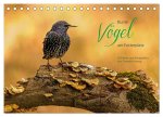 Bunte Vögel am Futterplatz (Tischkalender 2026 DIN A5 quer), CALVENDO Monatskalender
