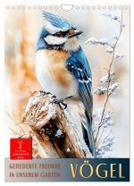 Vögel - gefiederte Freunde in unserem Garten (Wandkalender 2026 DIN A4 hoch), CALVENDO Monatskalender