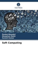 Soft Computing