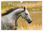 Pferdehaltung Tipps und Wissenswertes (Wandkalender 2026 DIN A4 quer), CALVENDO Monatskalender