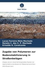 Zugabe von Polymeren zur Bodenstabilisierung in Straßenbelägen