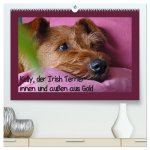 Kelly, der Irish Terrier - innen und außen aus Gold (hochwertiger Premium Wandkalender 2026 DIN A2 quer), Kunstdruck in Hochglanz