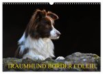 Traumhund Border Collie (Wandkalender 2026 DIN A3 quer), CALVENDO Monatskalender