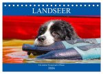 Landseer - Ein starker Freund auf 4 Pfoten (Tischkalender 2026 DIN A5 quer), CALVENDO Monatskalender