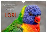 Wunderschöne Papageien - Lori (Wandkalender 2026 DIN A4 quer), CALVENDO Monatskalender