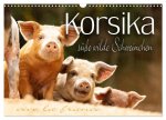 Korsika - süße, wilde Schweinchen (Wandkalender 2026 DIN A3 quer), CALVENDO Monatskalender