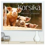 Korsika - süße, wilde Schweinchen (hochwertiger Premium Wandkalender 2026 DIN A2 quer), Kunstdruck in Hochglanz