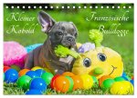 Kleiner Kobold Französische Bulldogge (Tischkalender 2026 DIN A5 quer), CALVENDO Monatskalender