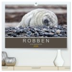 Robben auf der Helgoländer Düne (hochwertiger Premium Wandkalender 2026 DIN A2 quer), Kunstdruck in Hochglanz