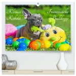 Kleiner Kobold Französische Bulldogge (hochwertiger Premium Wandkalender 2026 DIN A2 quer), Kunstdruck in Hochglanz